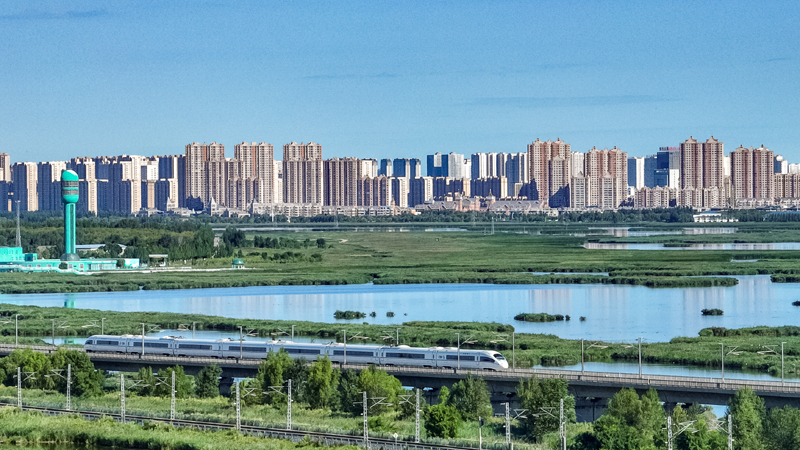 2025年8月17日,一列动车组列车驶过大庆东站。