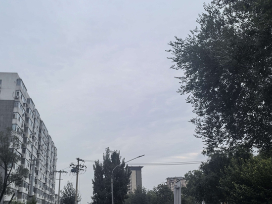 bqzp
